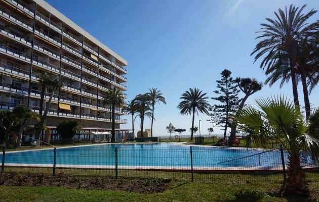 Castillo de Santa Clara — Piscina con palmeras y vistas al mar